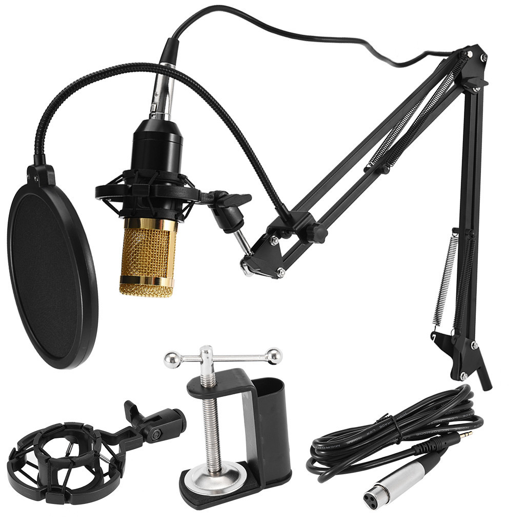 BM800 Condenser Microphone Kit Studio Pro Audio Recording Arm Stand Shock Mount